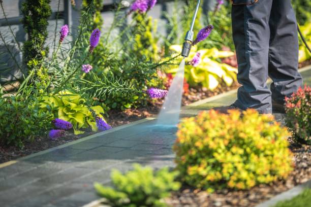 Best Gutter Cleaning  in Beverly, NJ